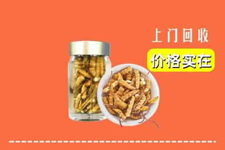 收购资讯:普安县回收散虫草