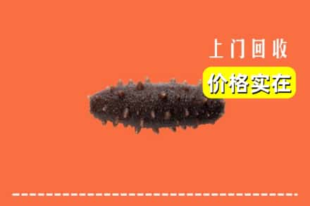 收购资讯:普安县回收海参