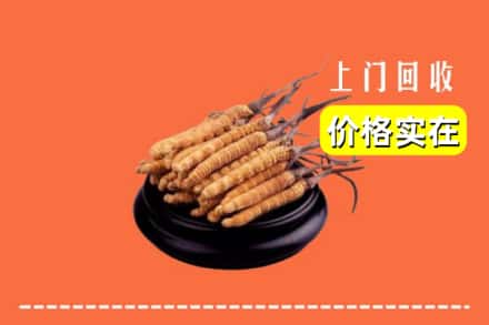 普安县回收冬虫夏草
