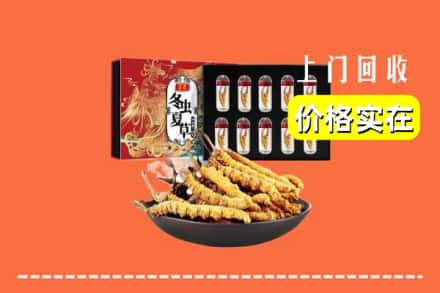 普安县回收虫草